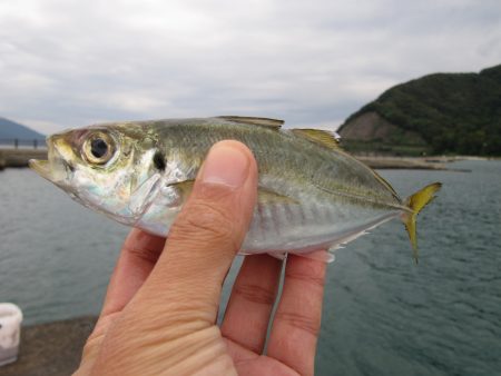 夜明け前から大量の釣果を夢見て